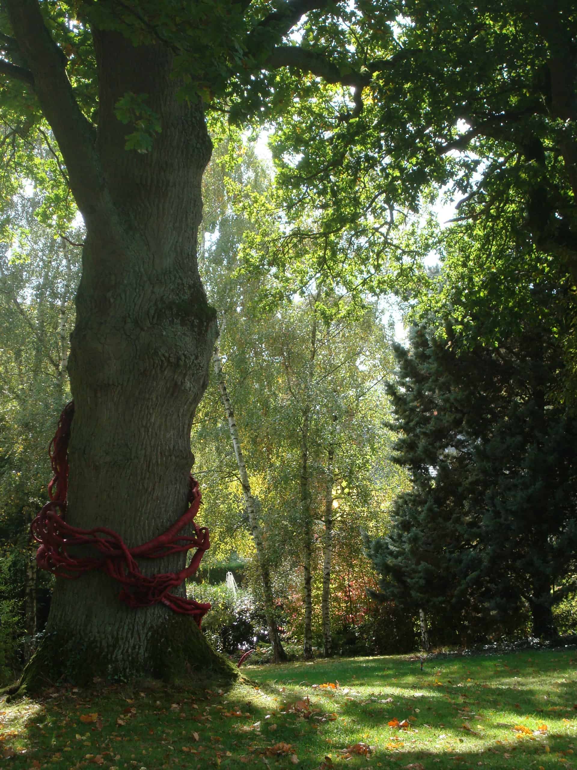 Picture of a large oak decorated with a red sculpture by Aude Franjou