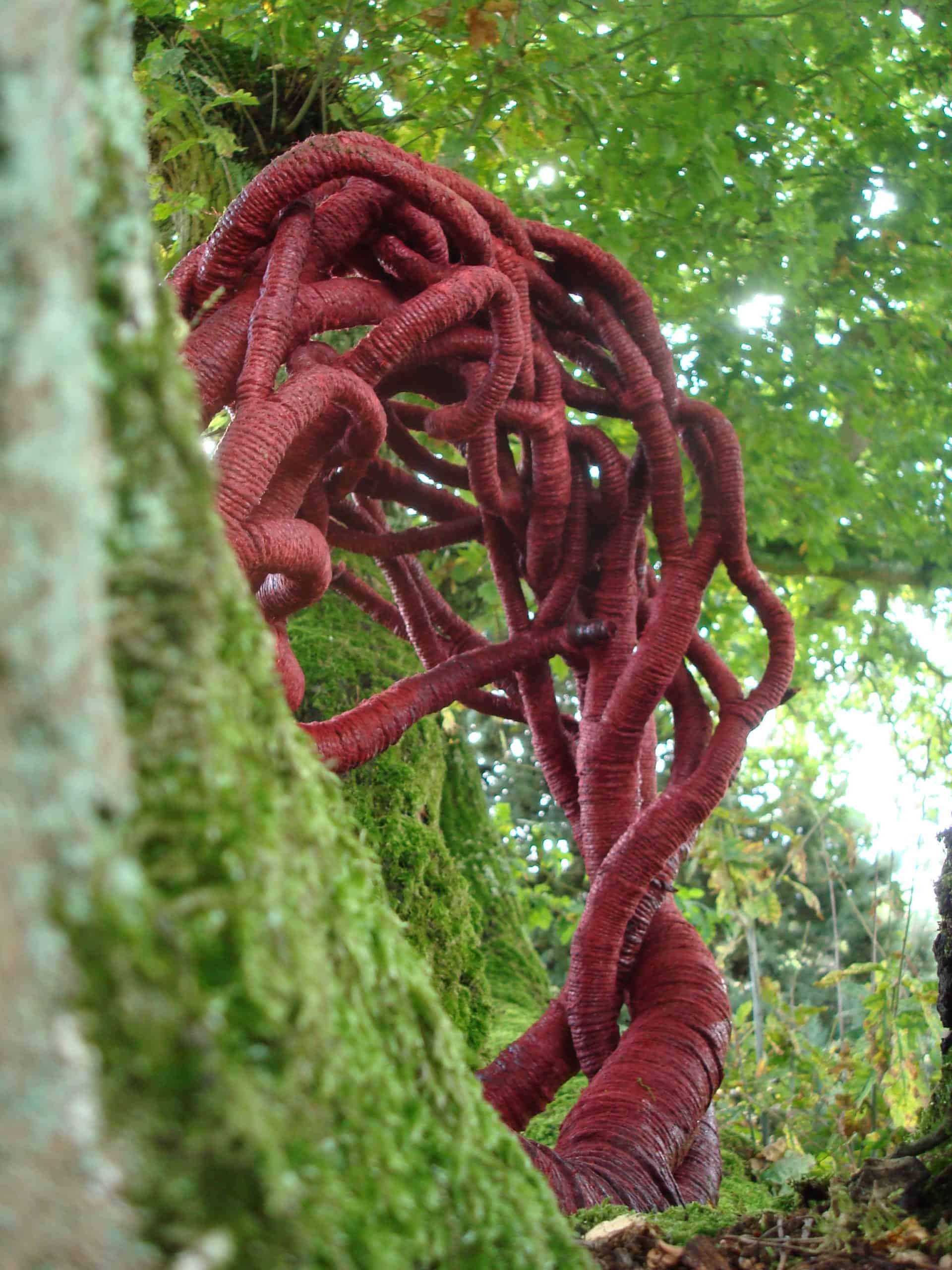 giant red sculpture wrapped around a tree by Aude Franjou