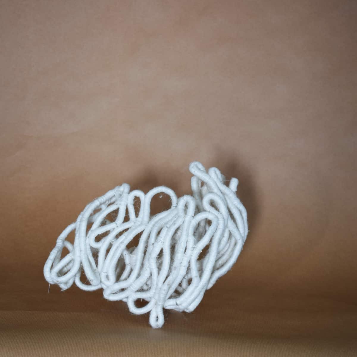 coral-like white sculpture by Aude Franjou