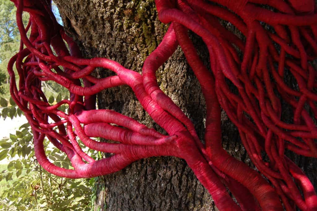 red sculpture on tree by Aude Franjou
