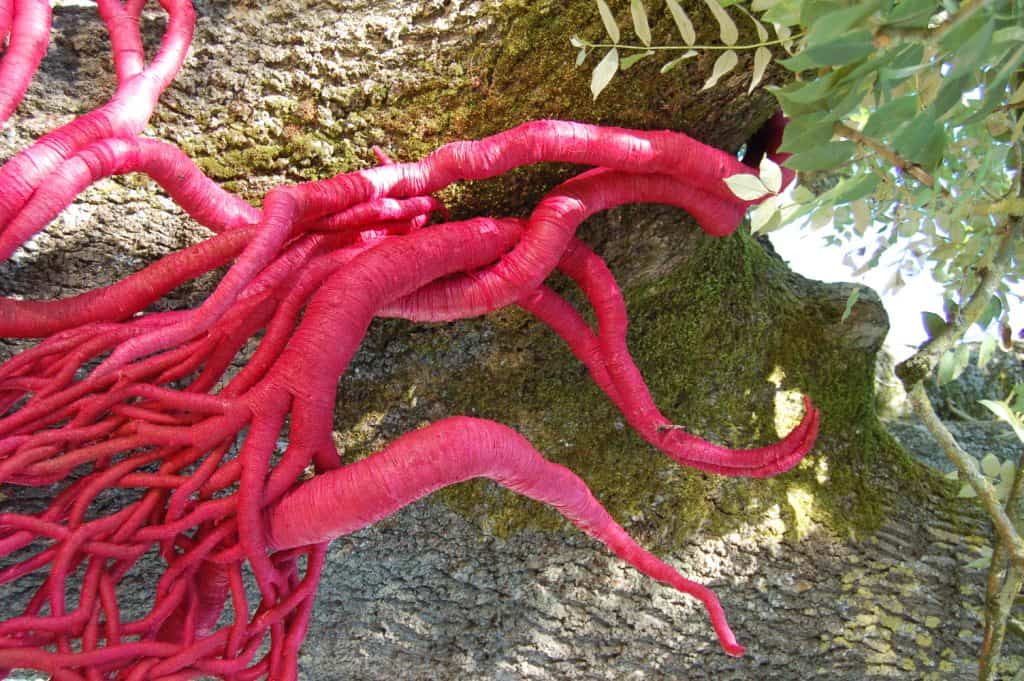 Vivid red vine like sculpture on tree trunk by Aude Franjou