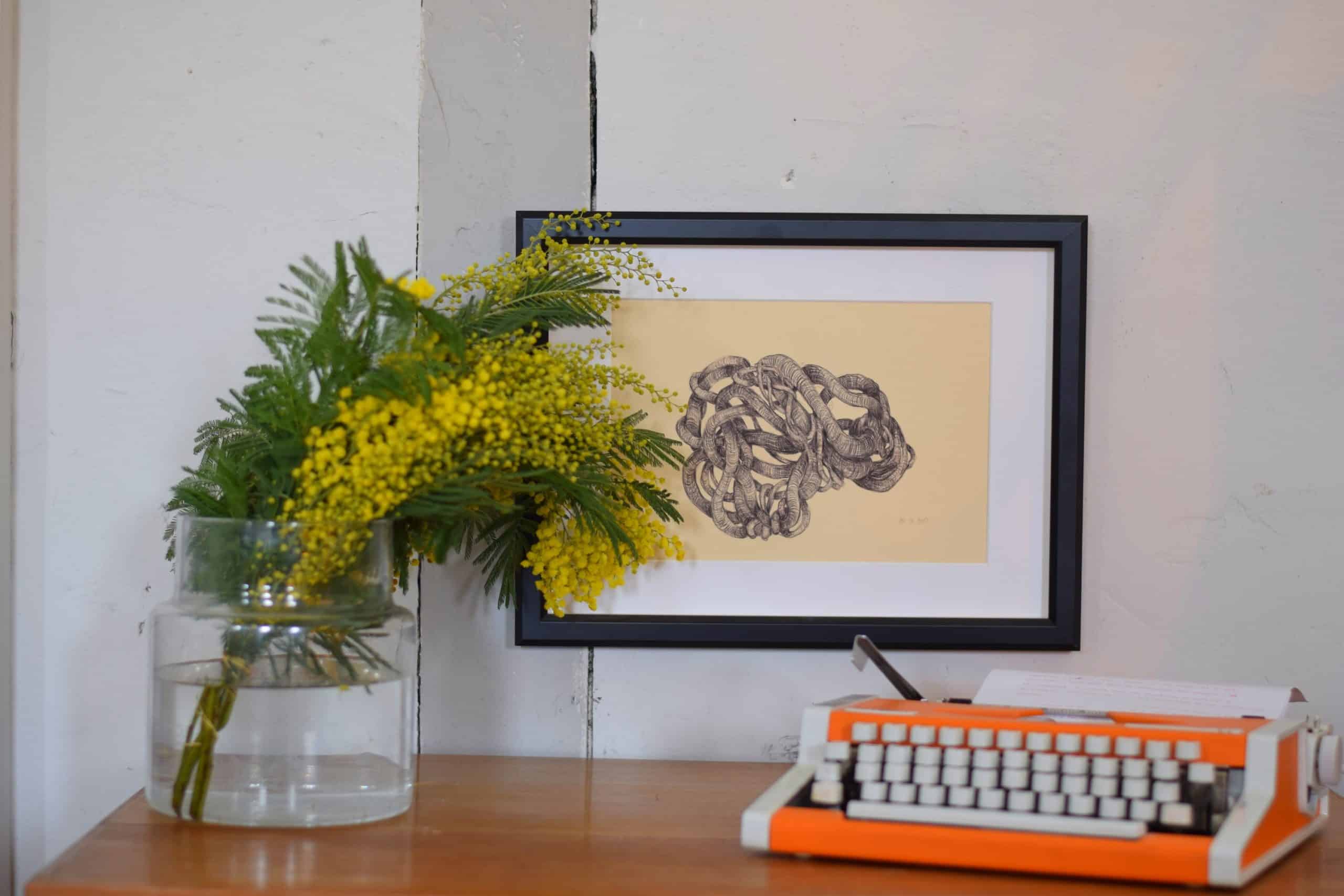 drawing in frame, mimosa flowers and old typing machine by Aude Franjou