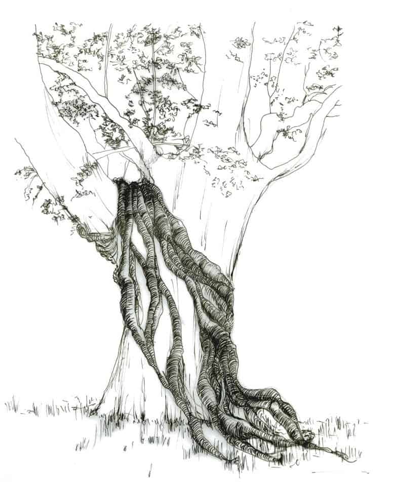 preparatory drawing for a tree decorative sculpture by Aude Franjou
