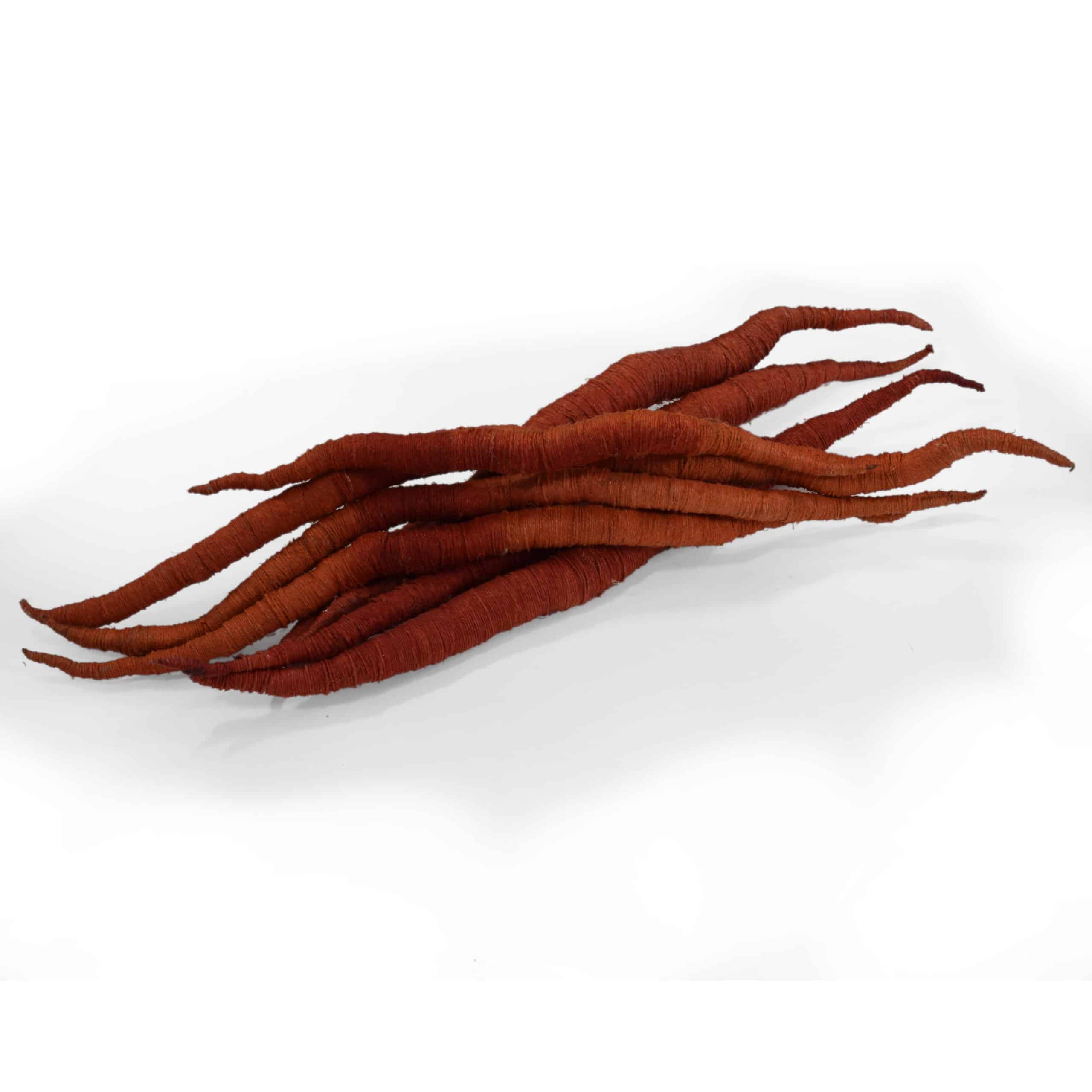 Picture of a red sculpture on white background by artist Aude Franjou. The sculpture resembles something vegetal