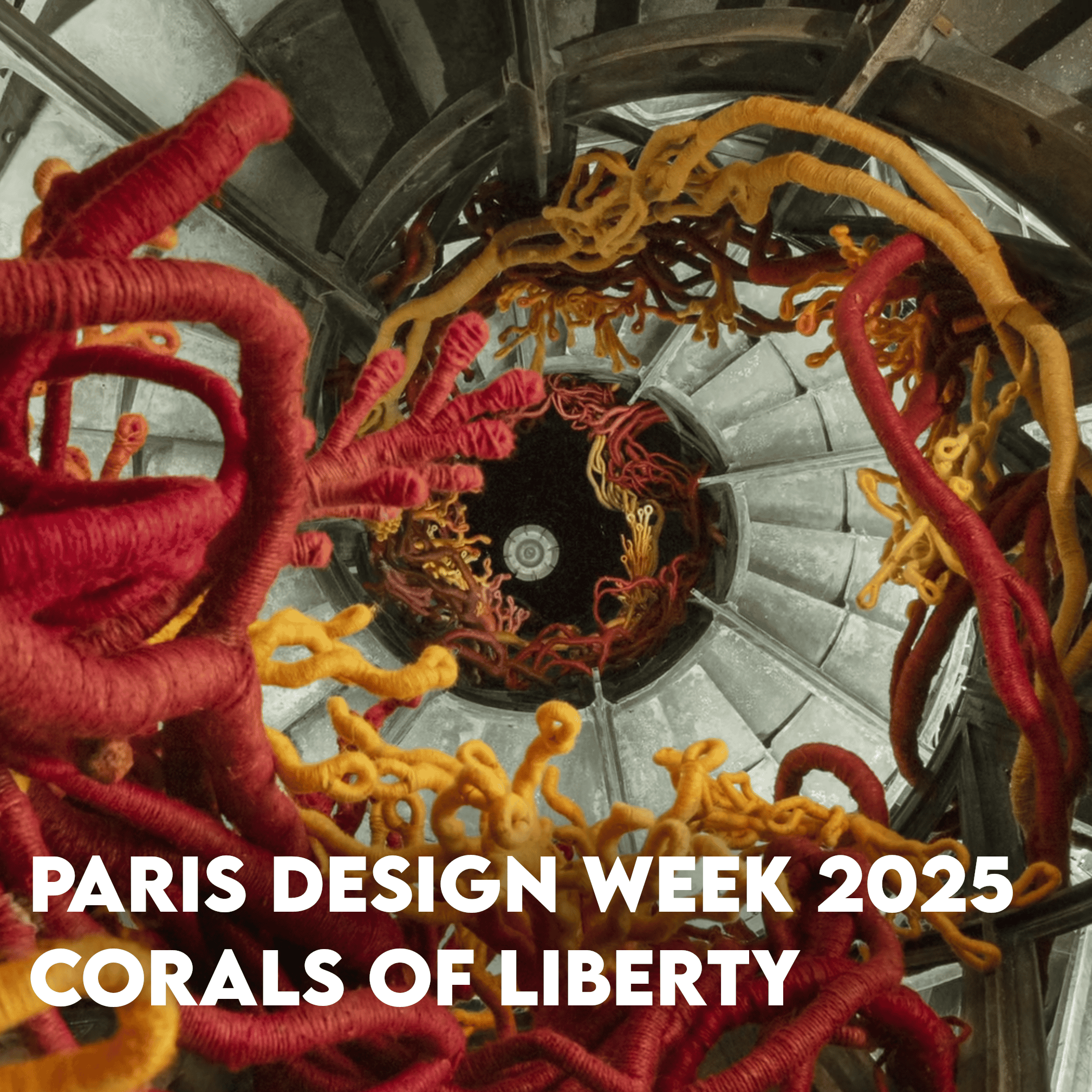 Virtual tour: Corals of Liberty
